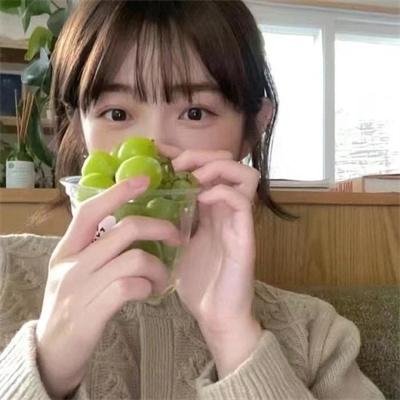 飞鸟集2021 封面